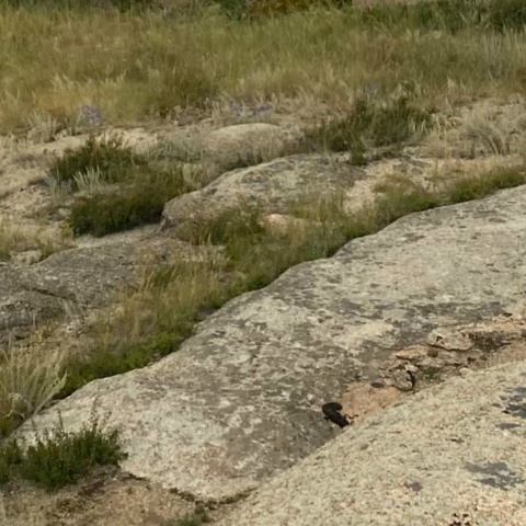 Эпоха Щаспрям